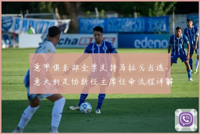 意甲俱乐部全票支持马拉戈当选,意大利足协新任主席任命流程详解