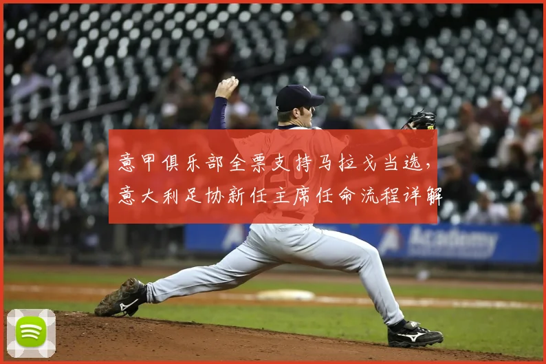 意甲俱乐部全票支持马拉戈当选，意大利足协新任主席任命流程详解