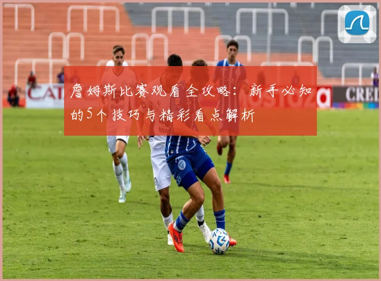詹姆斯比赛观看全攻略：新手必知的5个技巧与精彩看点解析
